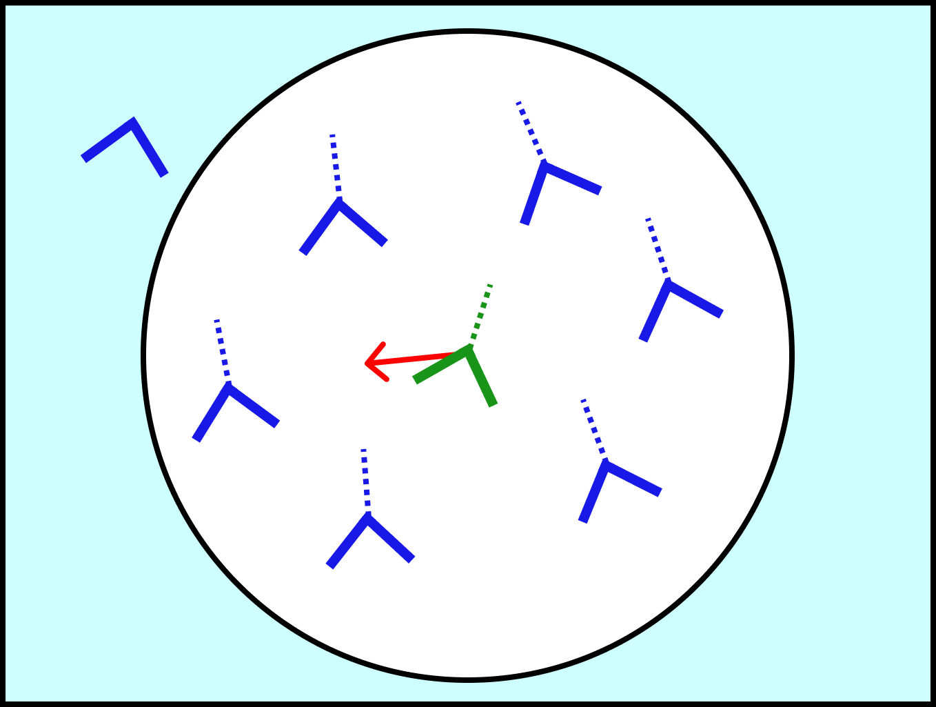 A group of boids with lines indicating their heading, the boid in question is about to adjust to this